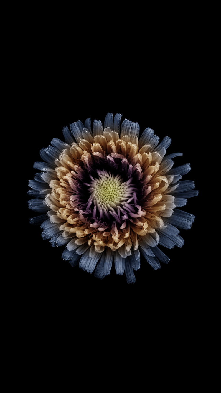 Обои  Infinix Note 4, infinix note 3, infinix note4, инфиникс, смартфон в разрешении 750x1334