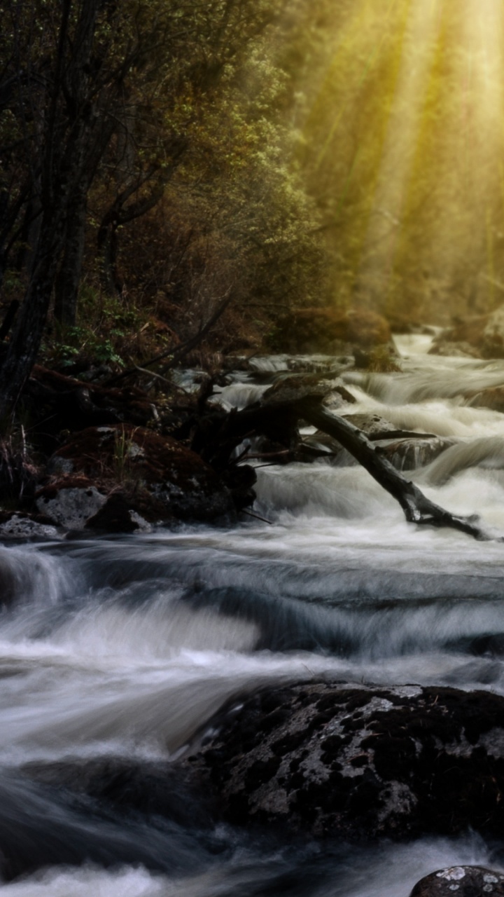 Обои природа, водоем, поток, вода, водоток в разрешении 720x1280