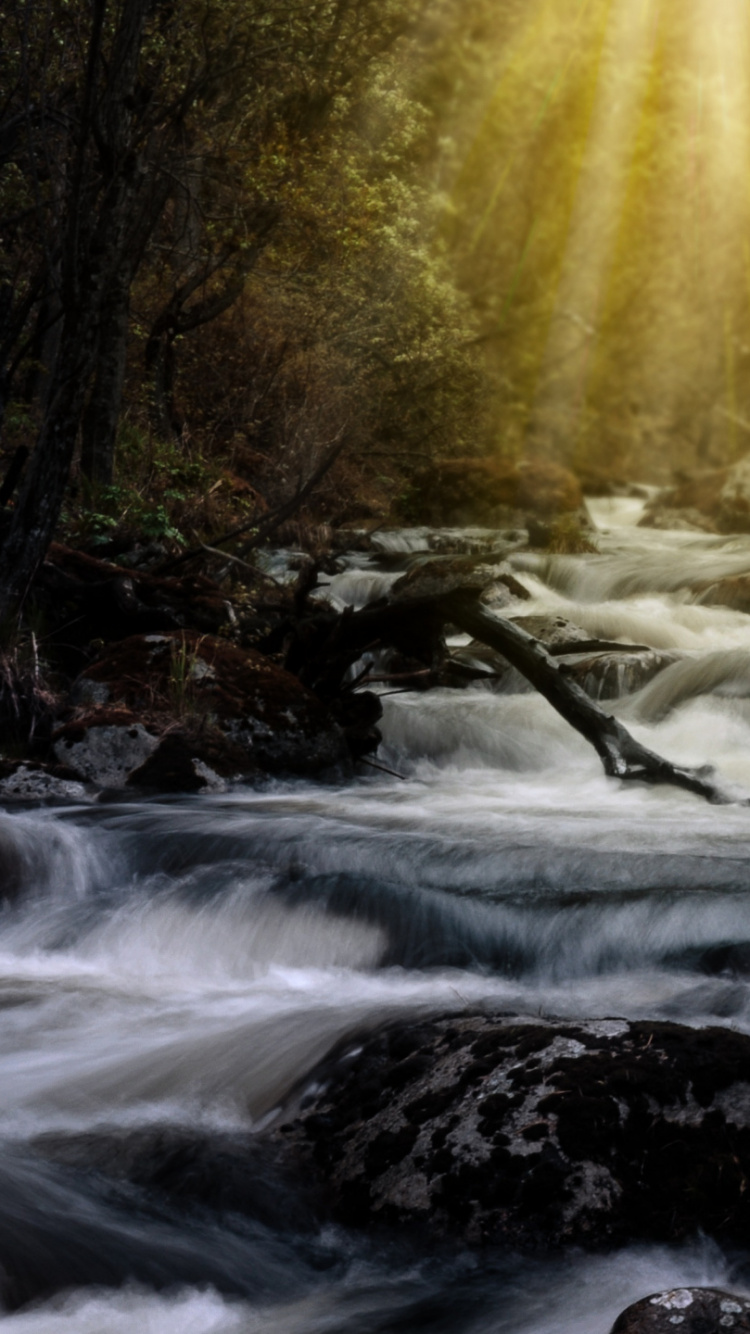 Обои природа, водоем, поток, вода, водоток в разрешении 750x1334