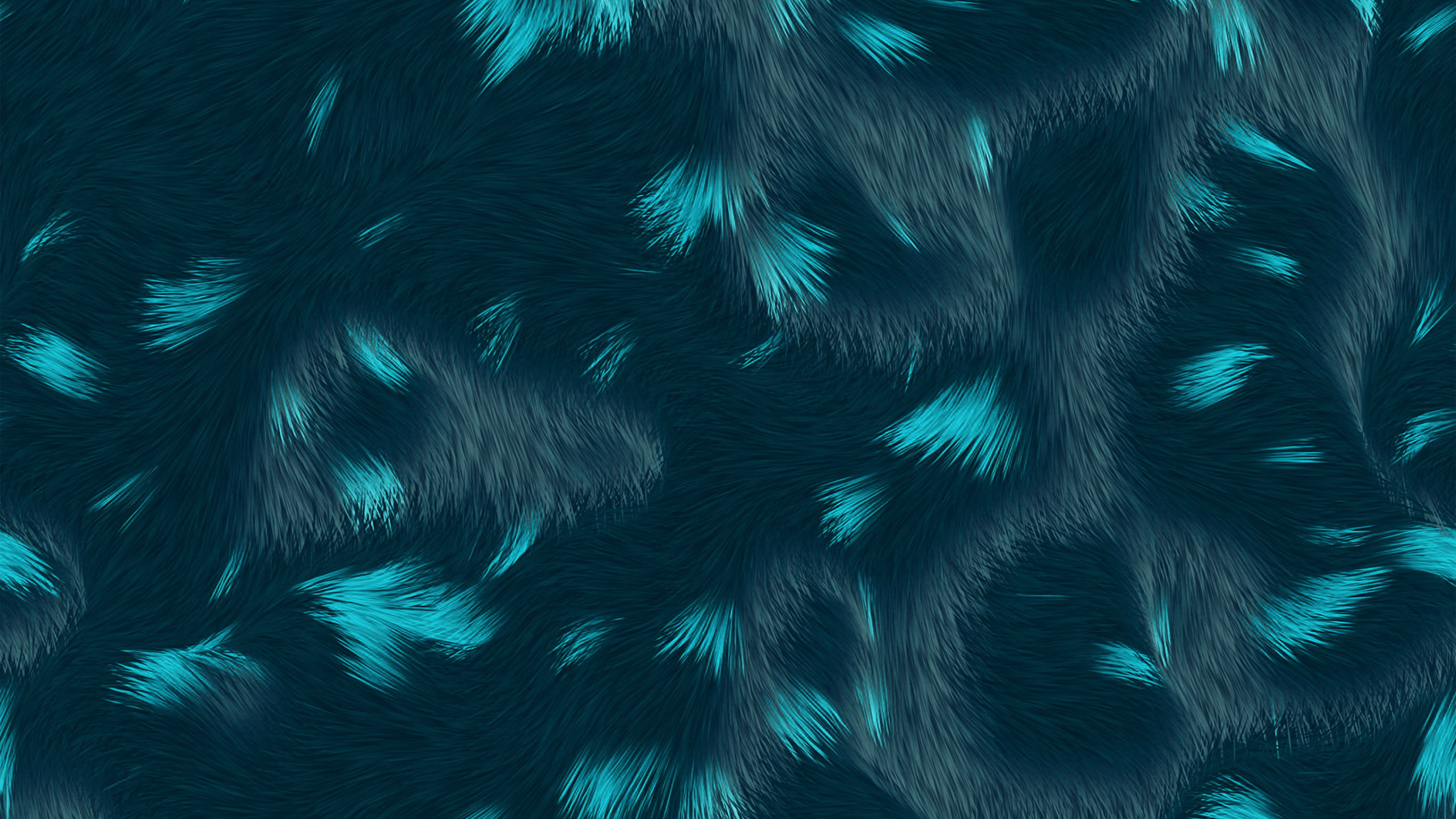 Обои синий, бирюза, электрик, мех, перо в разрешении 2560x1440