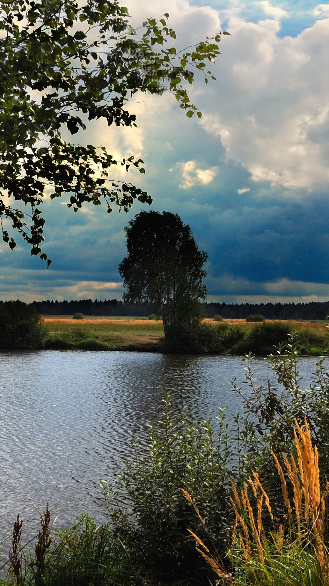 Обои отражение, пейзажная живопись, природа, дерево, вода в разрешении 1080x1920