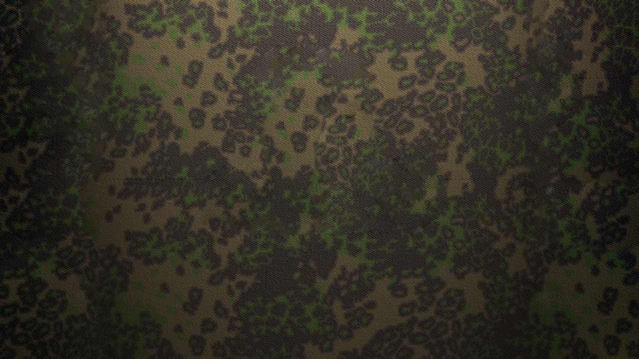 Обои биом, растительность, зеленый, узор, дерево в разрешении 1280x720