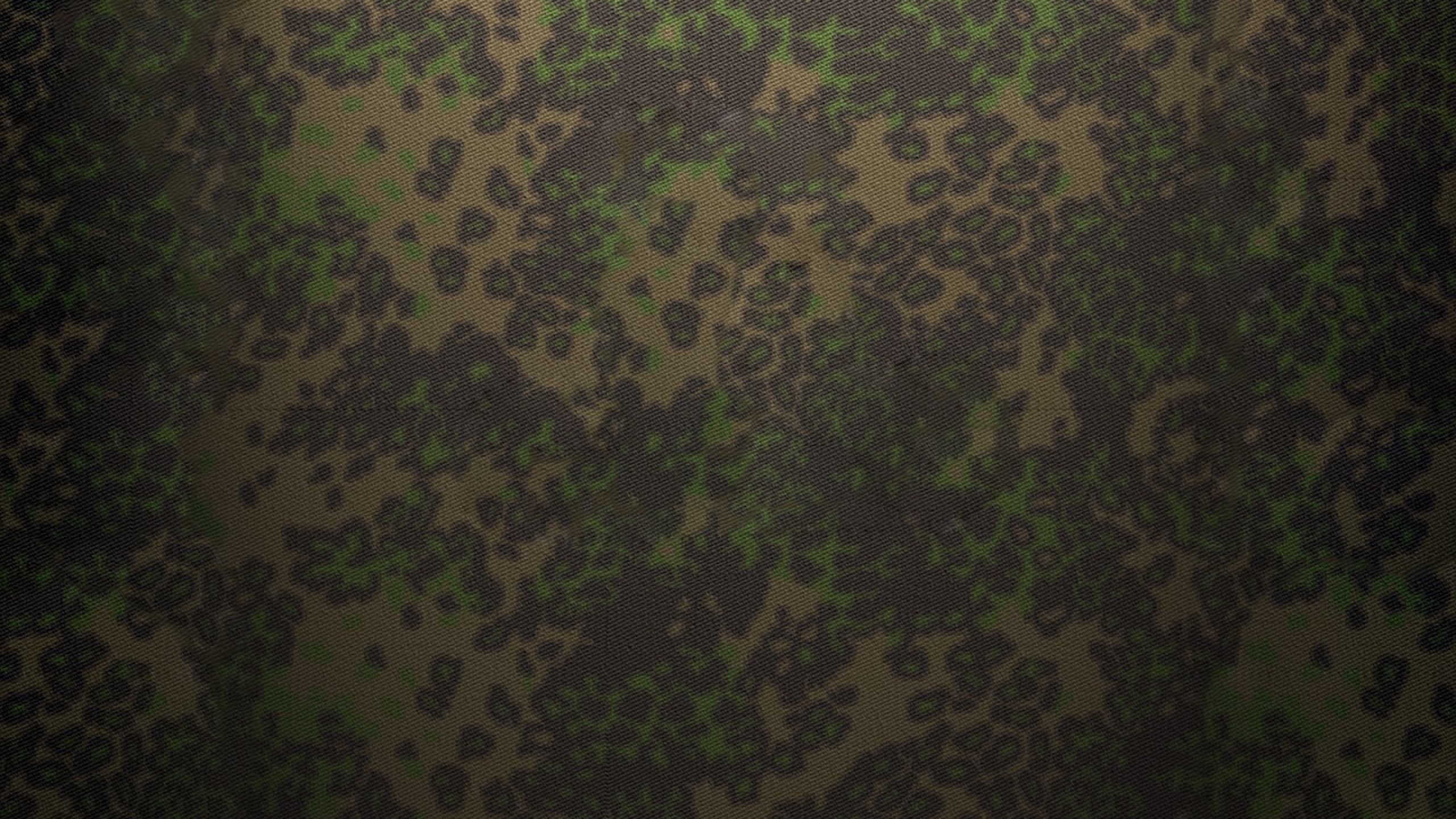 Обои биом, растительность, зеленый, узор, дерево в разрешении 2560x1440