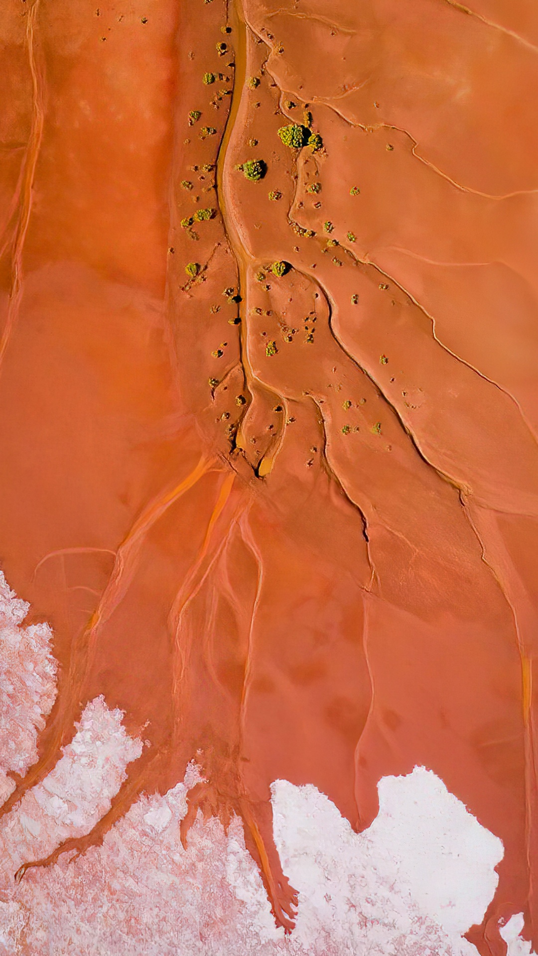 Обои Апельсин, растение, арт, полутона и оттенки, склон в разрешении 1080x1920