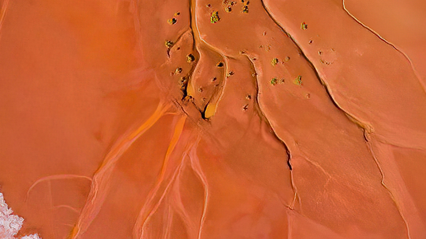 Обои Апельсин, растение, арт, полутона и оттенки, склон в разрешении 1366x768