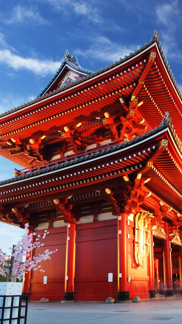 Обои Сенс-Цзи, храм, пагода, китайская архитектура, японская архитектура в разрешении 720x1280