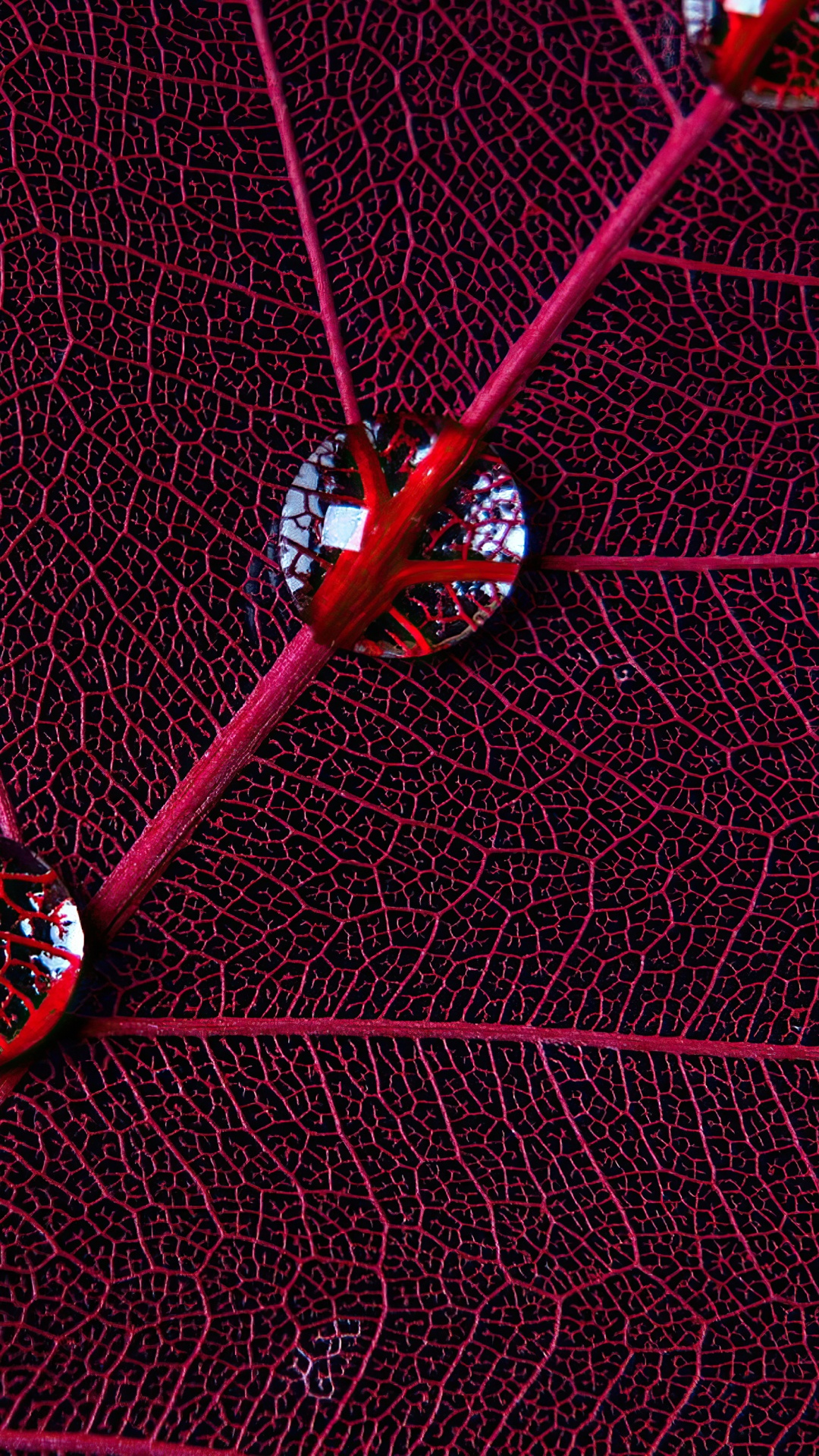 Обои круг, графический дизайн, вода, ткань, пурпур в разрешении 1080x1920