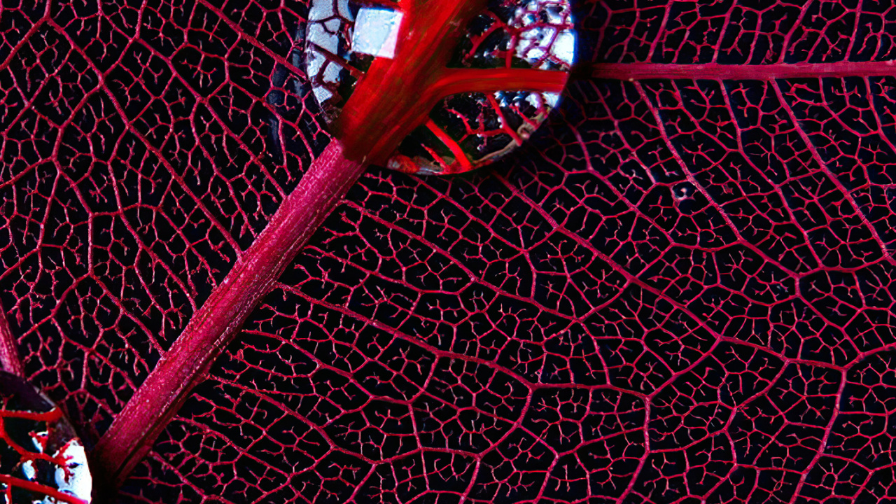 Обои круг, графический дизайн, вода, ткань, пурпур в разрешении 1280x720