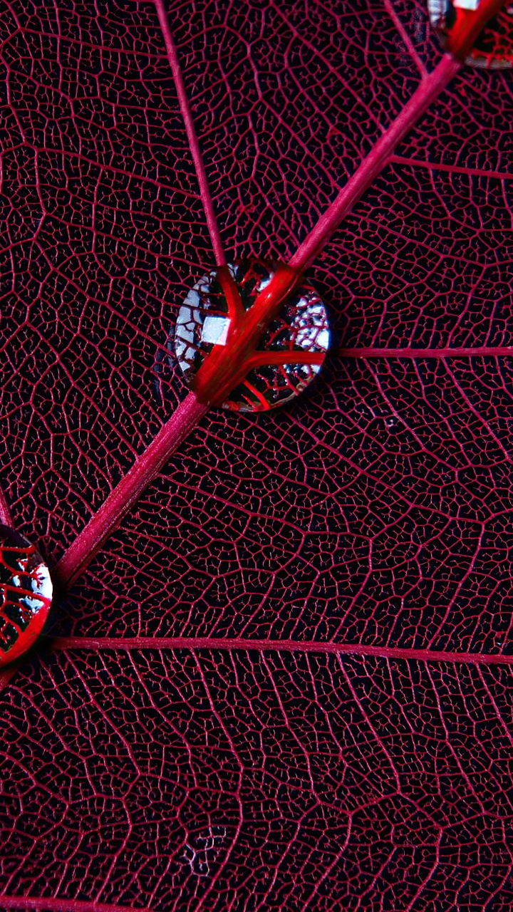 Обои круг, графический дизайн, вода, ткань, пурпур в разрешении 720x1280