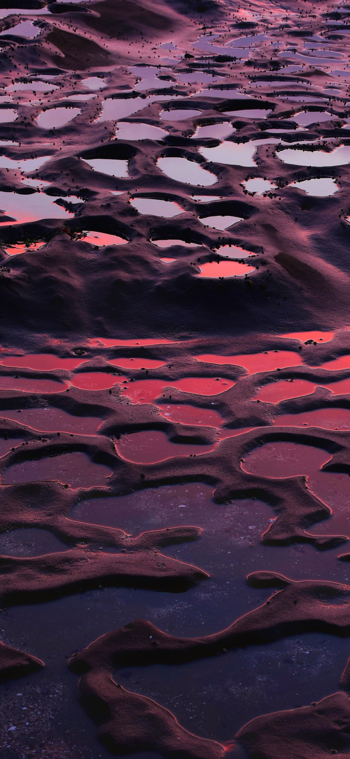 Обои вода, пурпур, красный цвет, отражение, розовый в разрешении 1125x2436