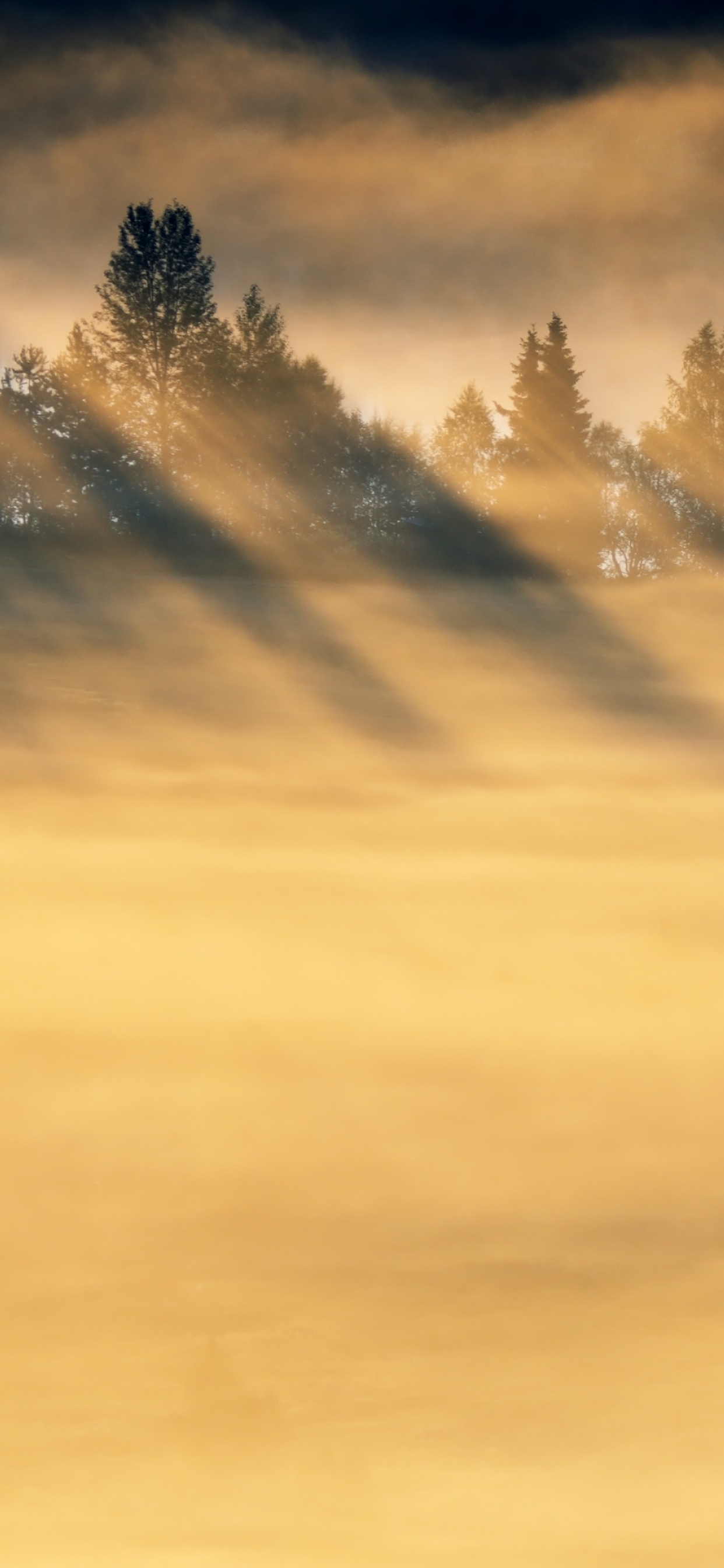 Обои утро, свет, природа, атмосфера, облако в разрешении 1242x2688