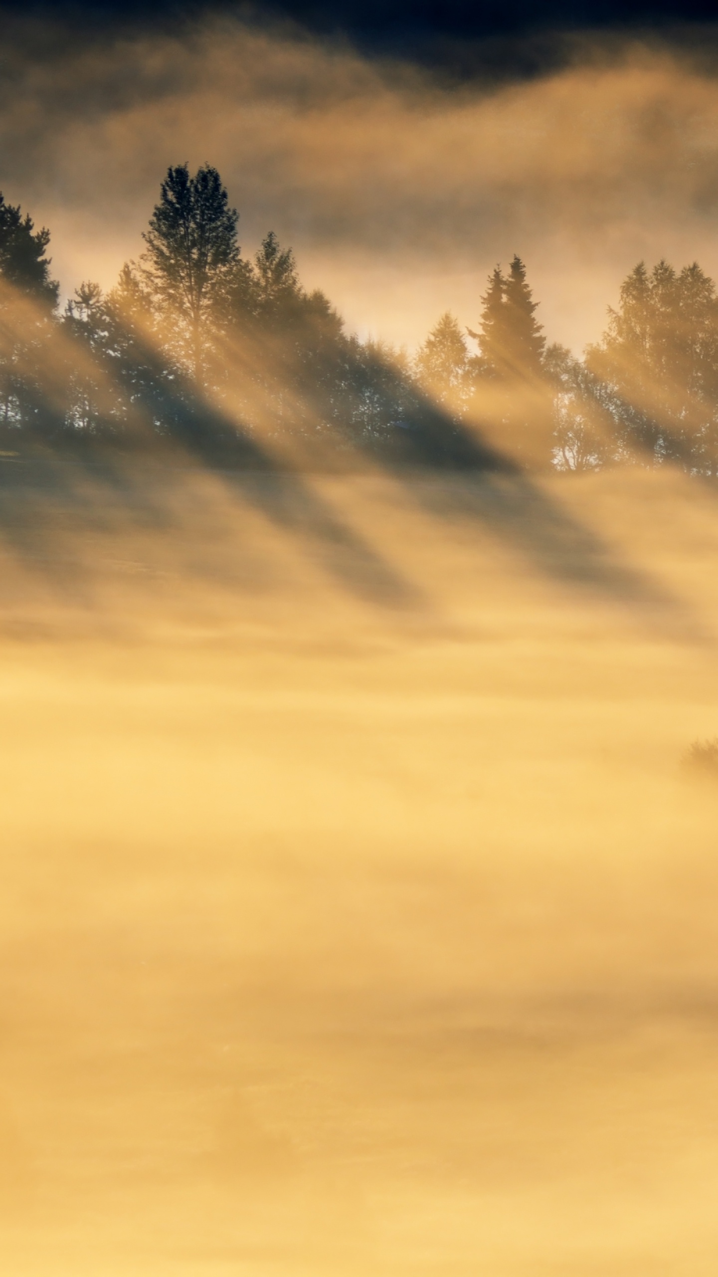 Обои утро, свет, природа, атмосфера, облако в разрешении 1440x2560