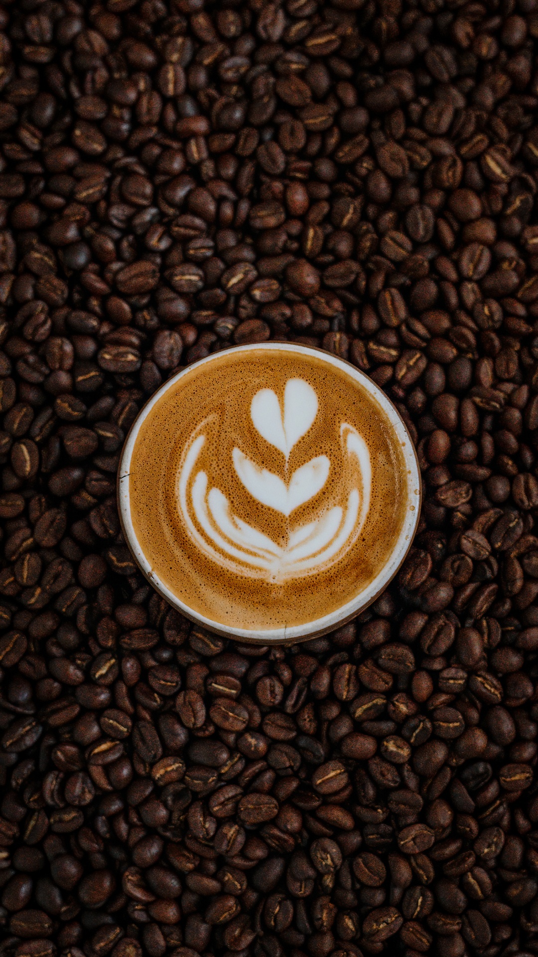 Обои кофеин, коричневый цвет, пища, Одного происхождения кофе, ингредиент в разрешении 1080x1920
