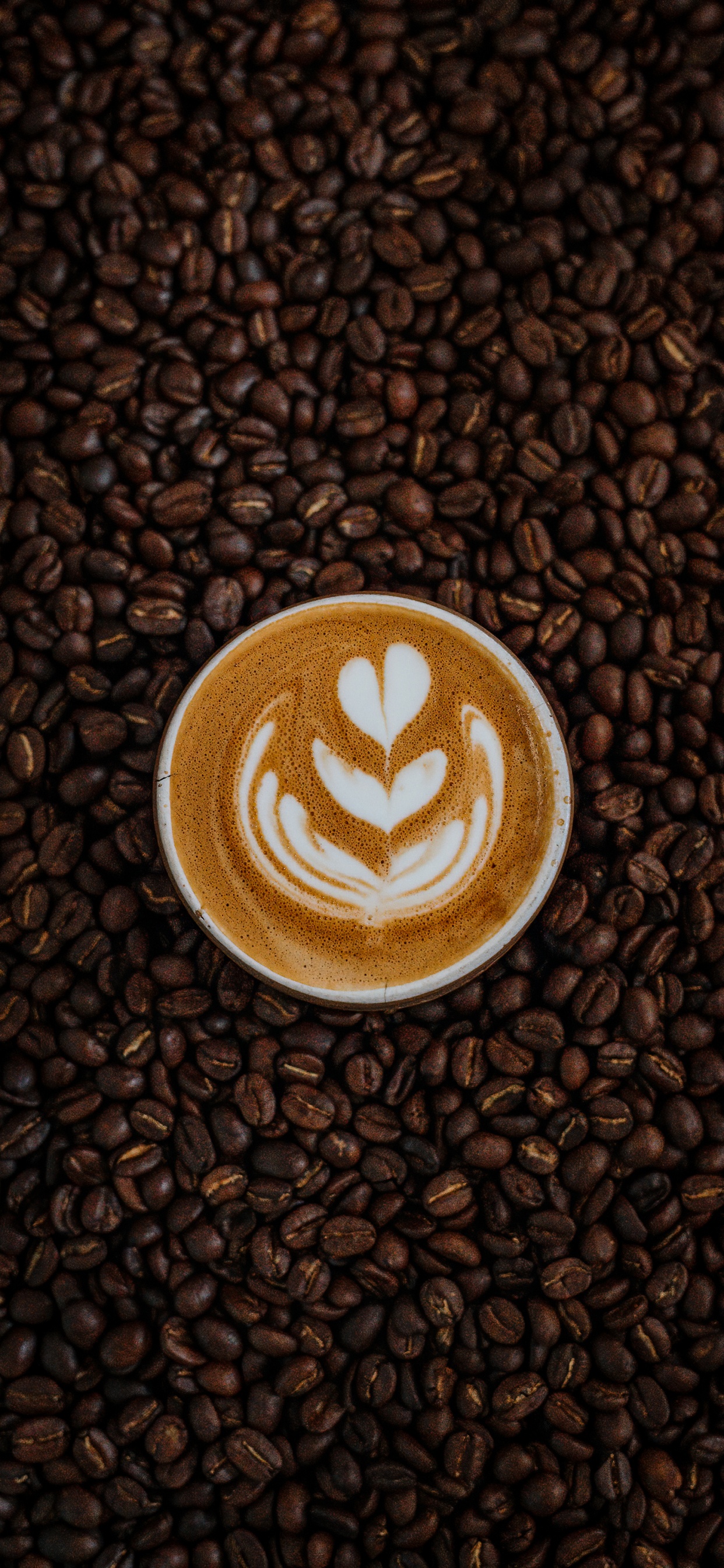 Обои кофеин, коричневый цвет, пища, Одного происхождения кофе, ингредиент в разрешении 1242x2688