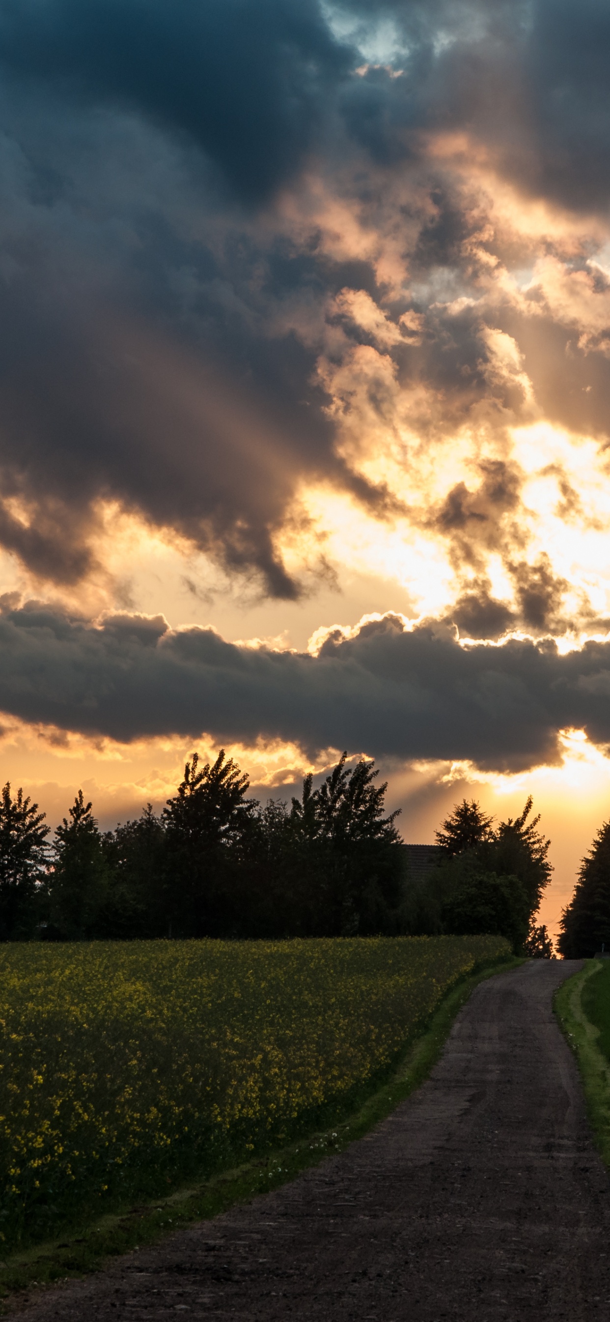 Обои солнечный свет, облако, закат, природа, природный ландшафт в разрешении 1242x2688