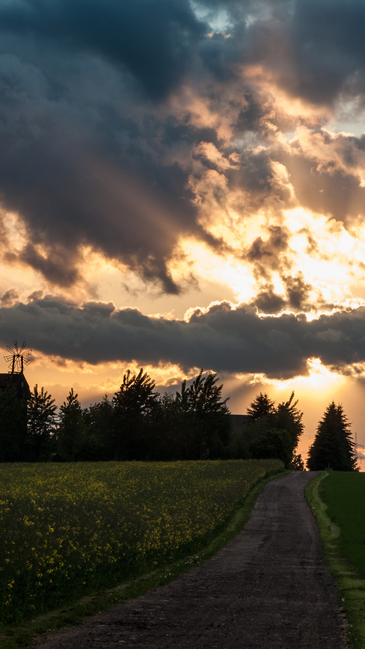 Обои солнечный свет, облако, закат, природа, природный ландшафт в разрешении 750x1334