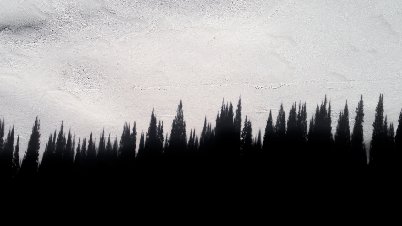 Обои мировые котировки, котировка, мир, черный, дерево в разрешении 1280x720