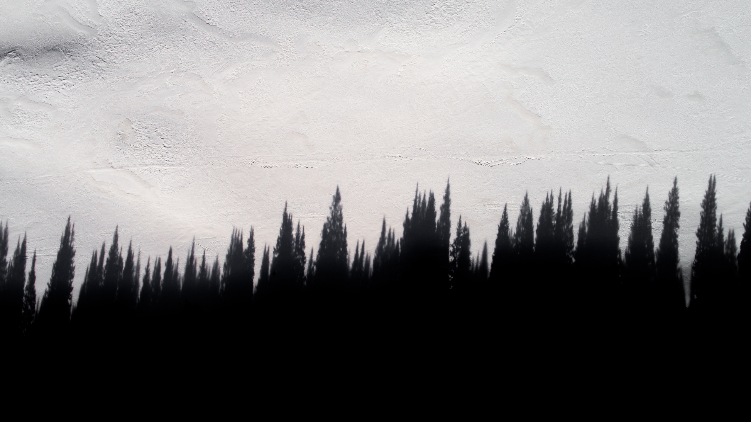 Обои мировые котировки, котировка, мир, черный, дерево в разрешении 2560x1440