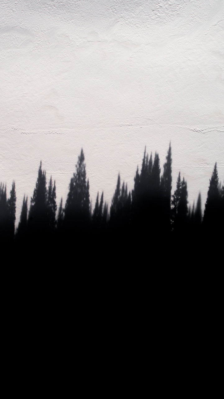 Обои мировые котировки, котировка, мир, черный, дерево в разрешении 720x1280