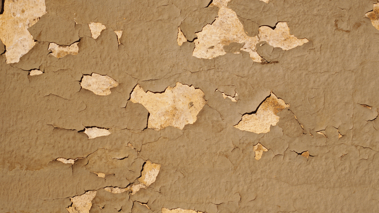 Обои иллюстрация, картинка, иллюстрации, обзор, другой мир книга в разрешении 1280x720