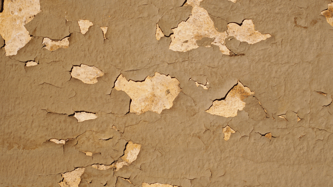 Обои иллюстрация, картинка, иллюстрации, обзор, другой мир книга в разрешении 1366x768