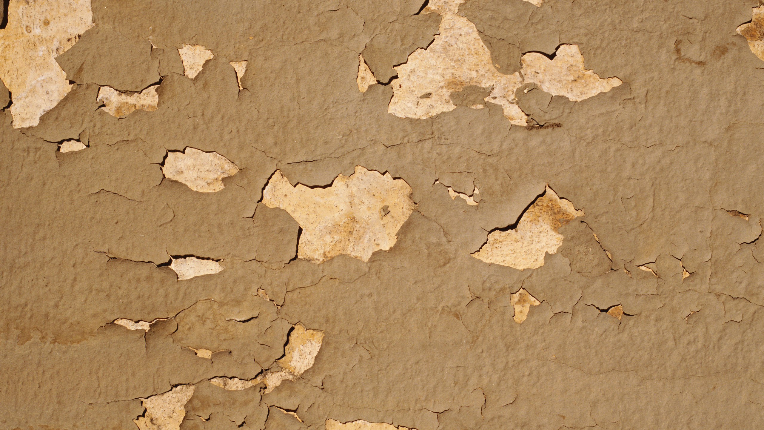 Обои иллюстрация, картинка, иллюстрации, обзор, другой мир книга в разрешении 2560x1440