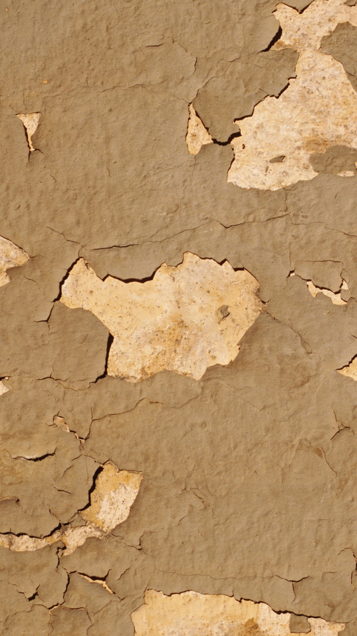 Обои иллюстрация, картинка, иллюстрации, обзор, другой мир книга в разрешении 720x1280