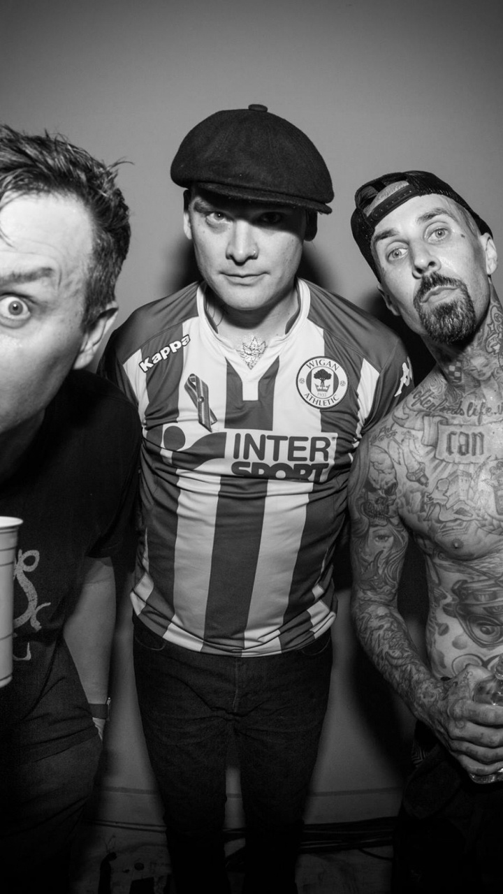 Обои Марк Хоппус, Блинк-182, поп-панк, панк-рок, Калифорния в разрешении 720x1280