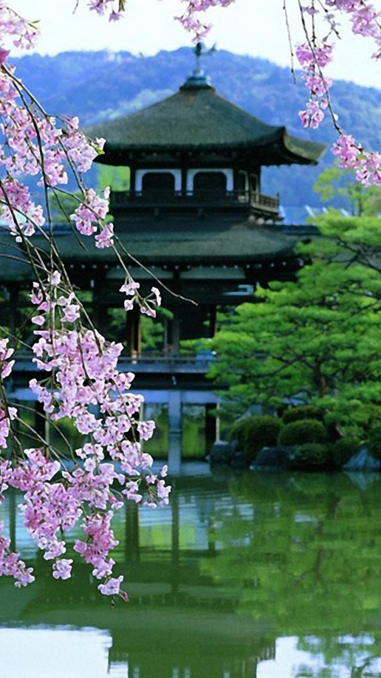 Обои природа, цветок, весна, растение, дерево в разрешении 750x1334