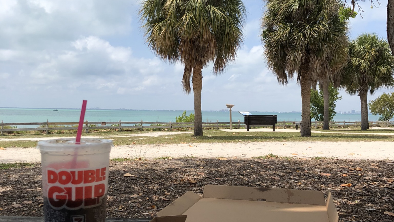 Обои дерево, наука, биология, пища, пицца в разрешении 1366x768