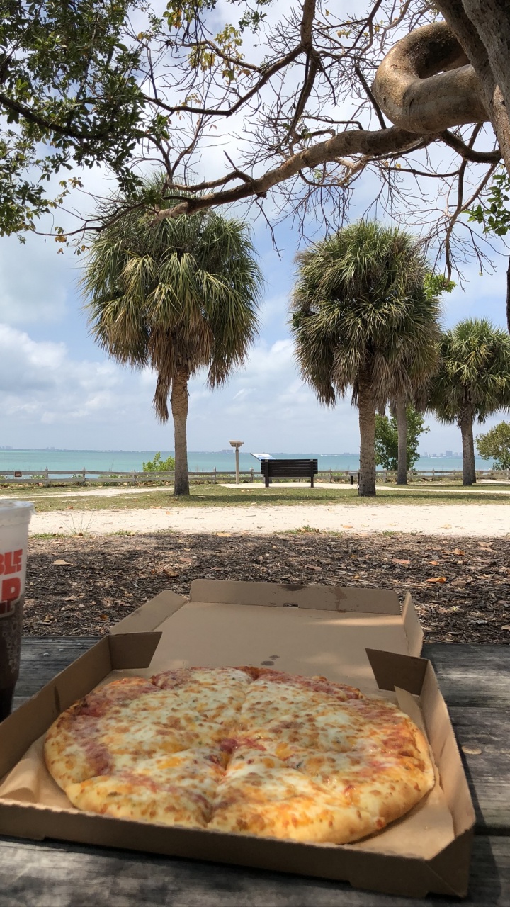 Обои дерево, наука, биология, пища, пицца в разрешении 720x1280