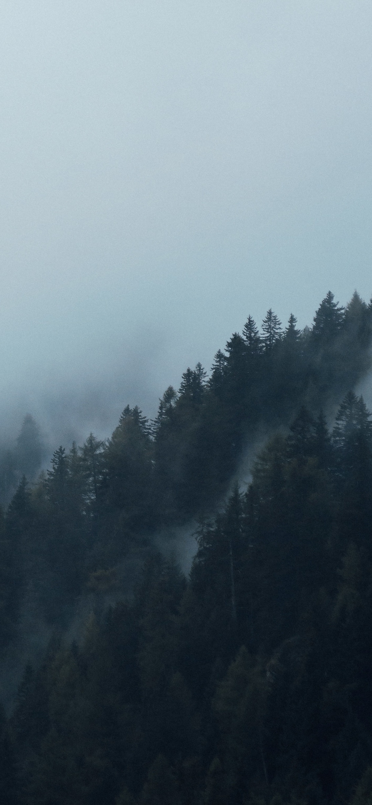 Обои туман, дымка, мгла, горный рельеф, атмосфера в разрешении 1242x2688