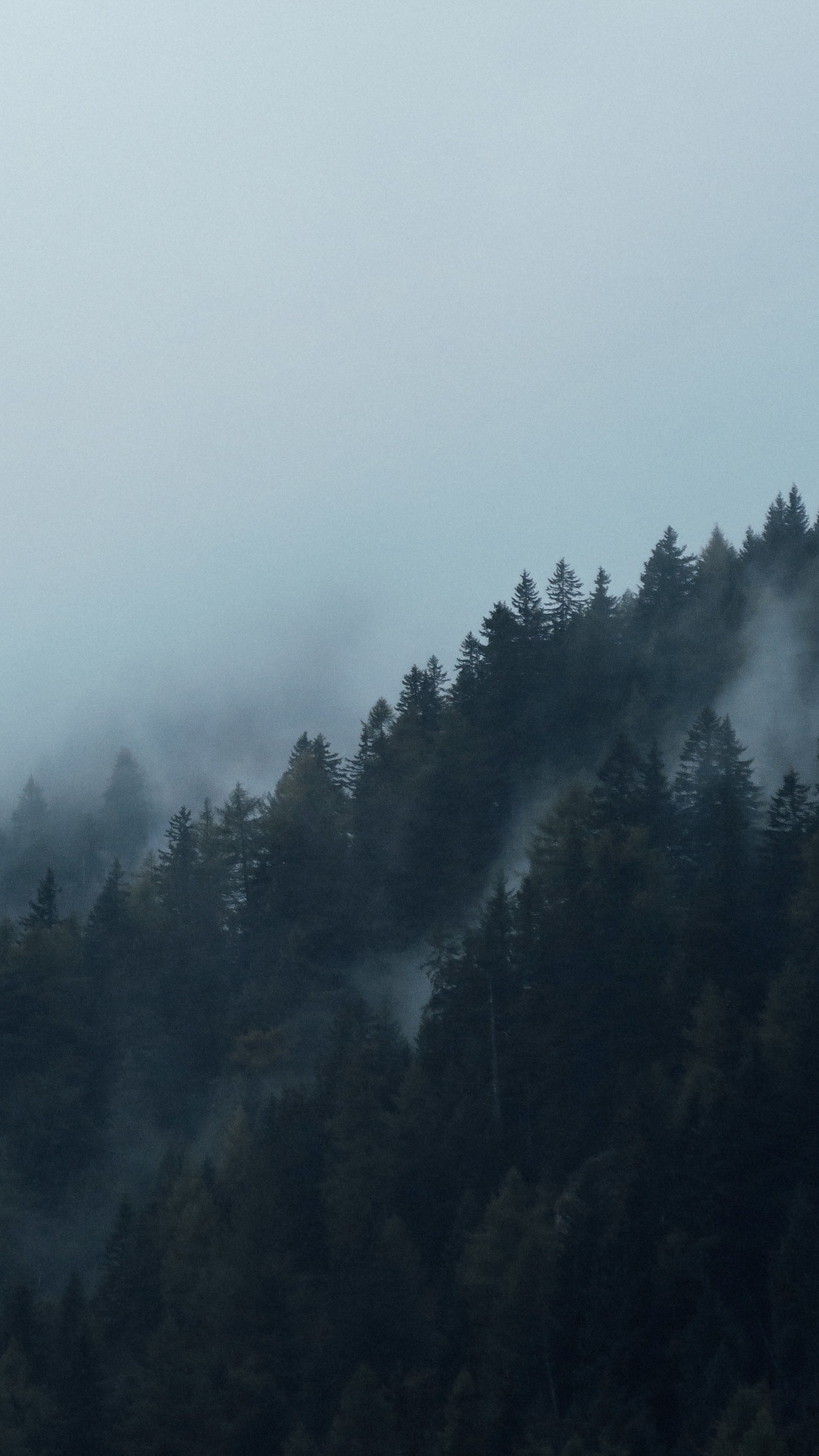 Обои туман, дымка, мгла, горный рельеф, атмосфера в разрешении 1440x2560