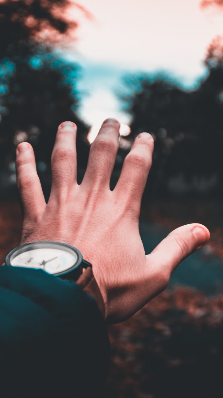 Обои палец, свет, облако, рука, солнечный свет в разрешении 750x1334