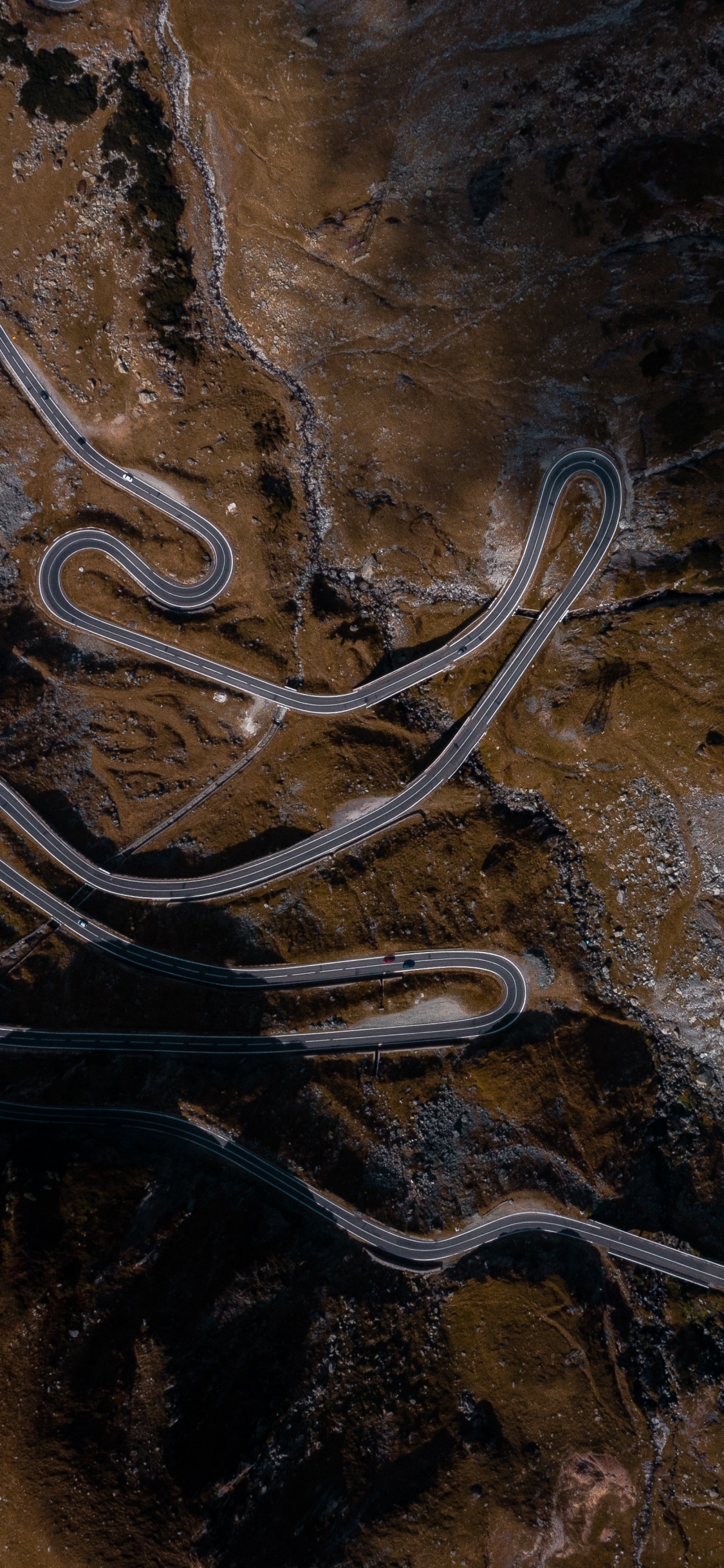 Обои коричневый цвет, древесина, геология, дерево, рок в разрешении 1125x2436