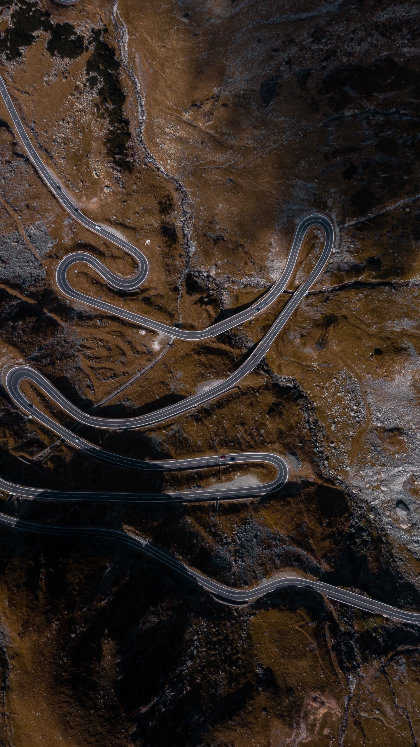 Обои коричневый цвет, древесина, геология, дерево, рок в разрешении 1440x2560