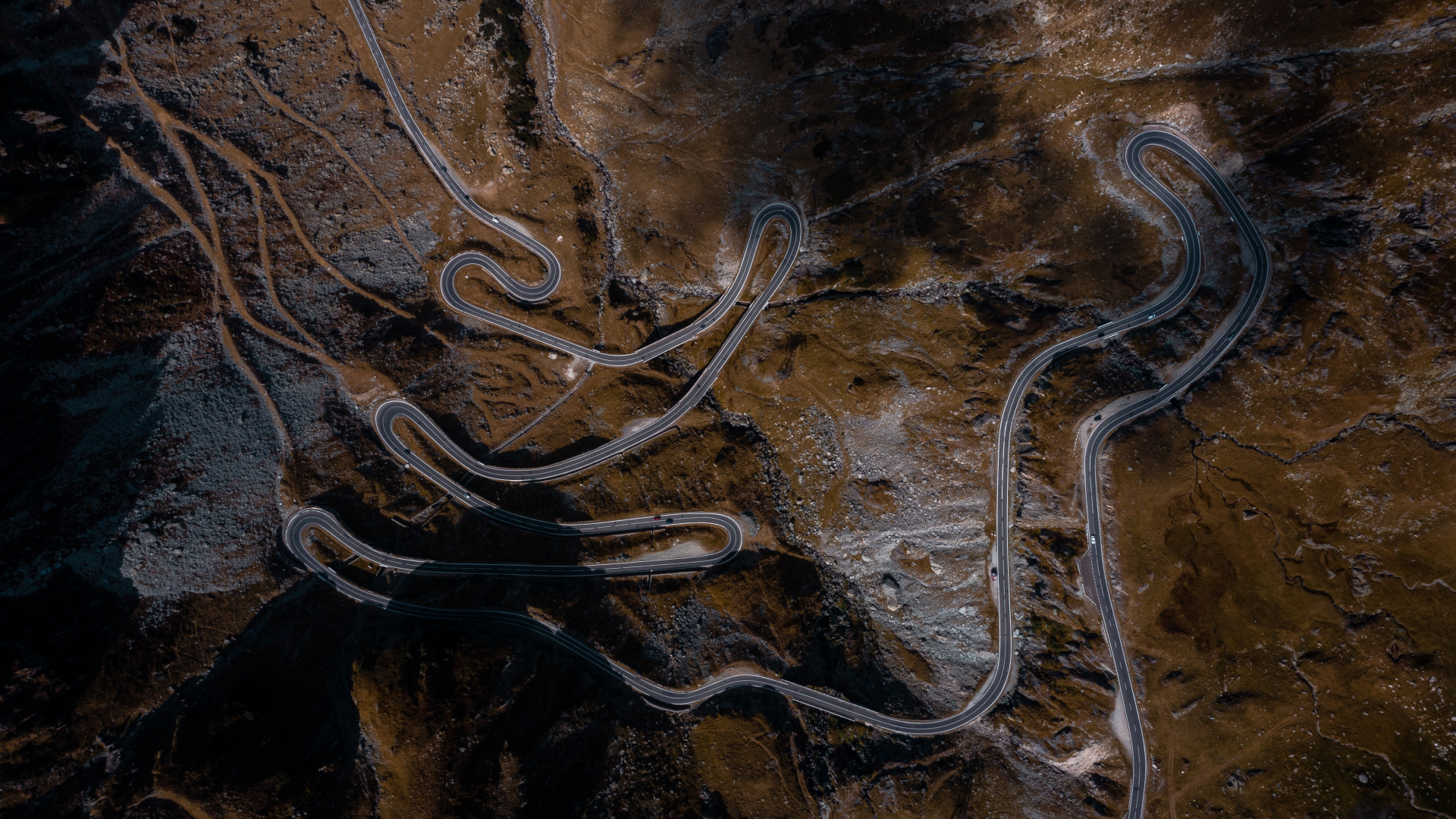 Обои коричневый цвет, древесина, геология, дерево, рок в разрешении 1920x1080