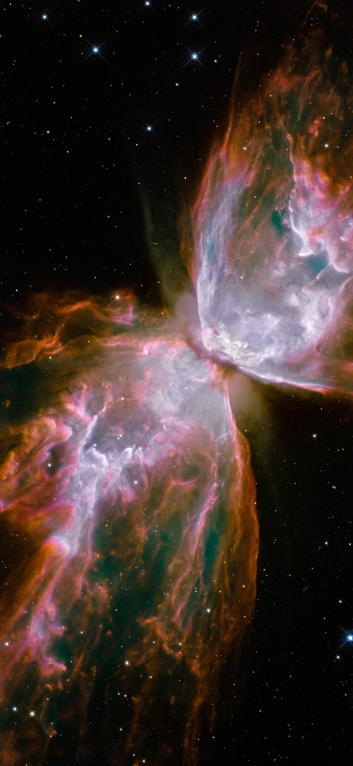 Обои туманность бабочка, туманность, звезда, Или NGC 6302, Астрономия в разрешении 1125x2436