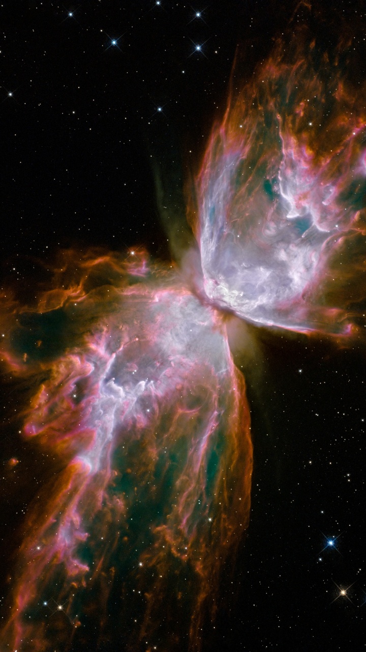 Обои туманность бабочка, туманность, звезда, Или NGC 6302, Астрономия в разрешении 720x1280