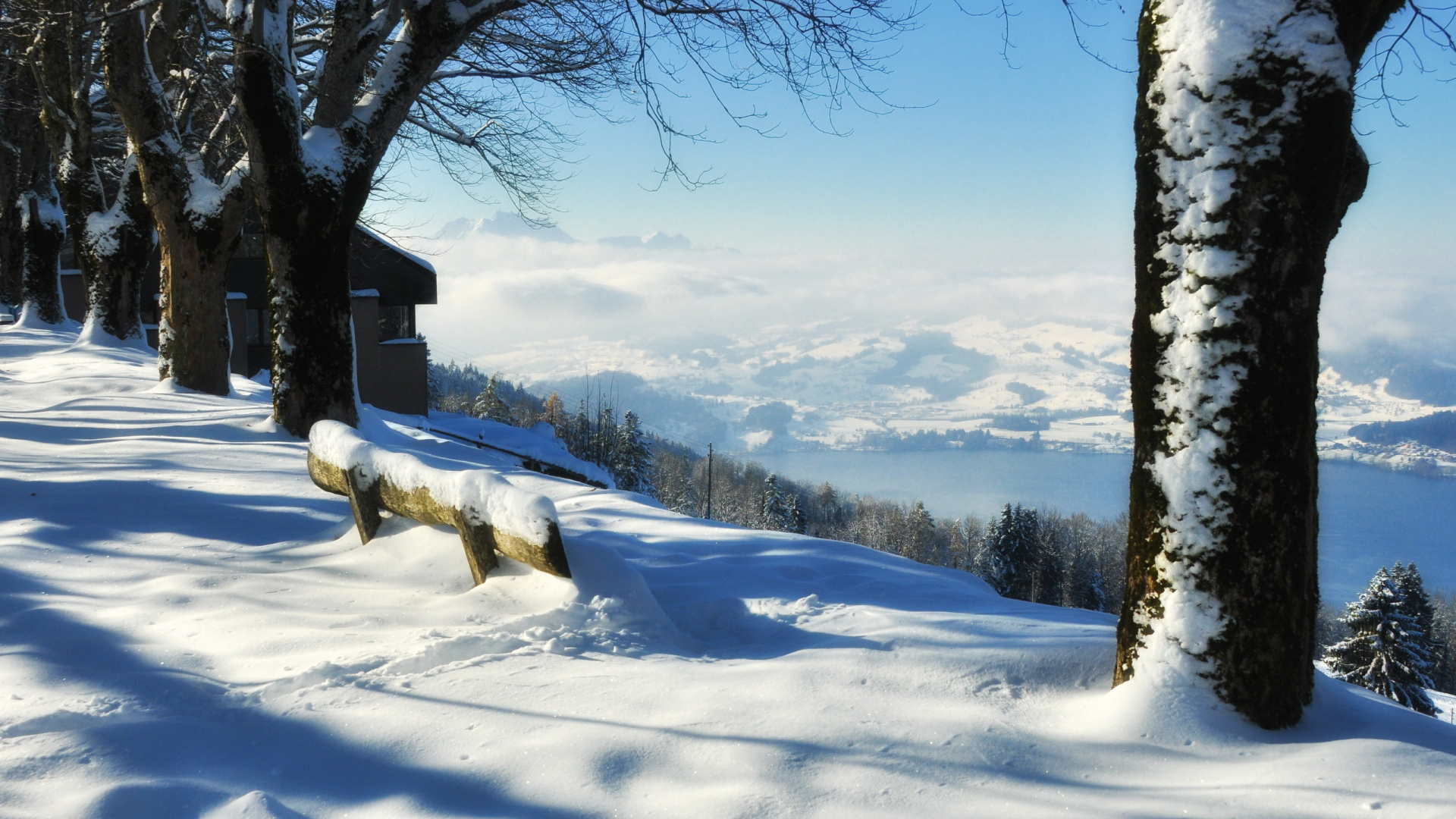 Обои снег, зима, дерево, замораживание, Альпы в разрешении 1920x1080