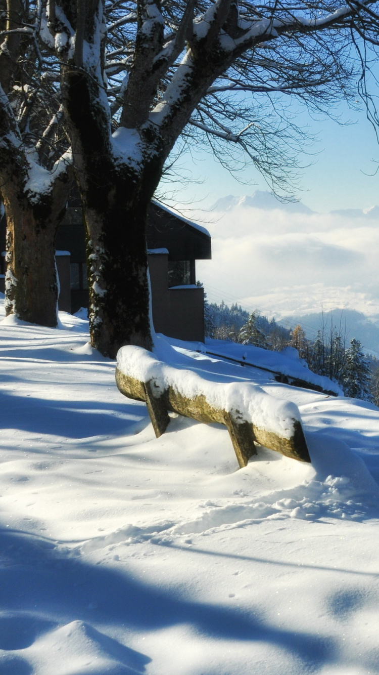Обои снег, зима, дерево, замораживание, Альпы в разрешении 750x1334