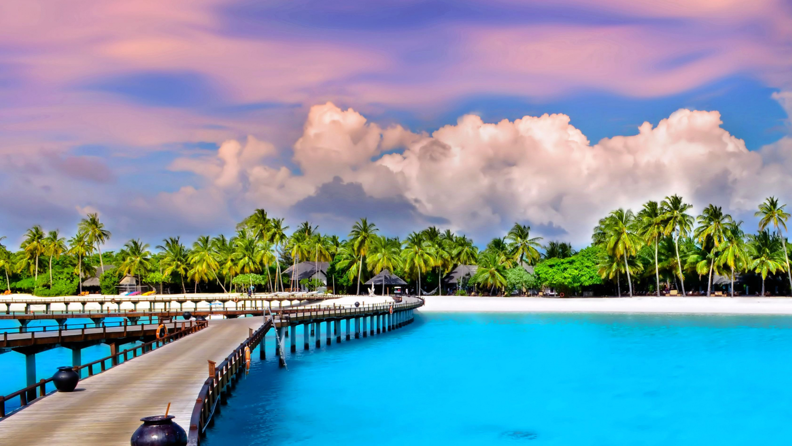 Обои прибежище, плавательный бассейн, тропическая зона, Карибский бассейн, отпуск в разрешении 2560x1440