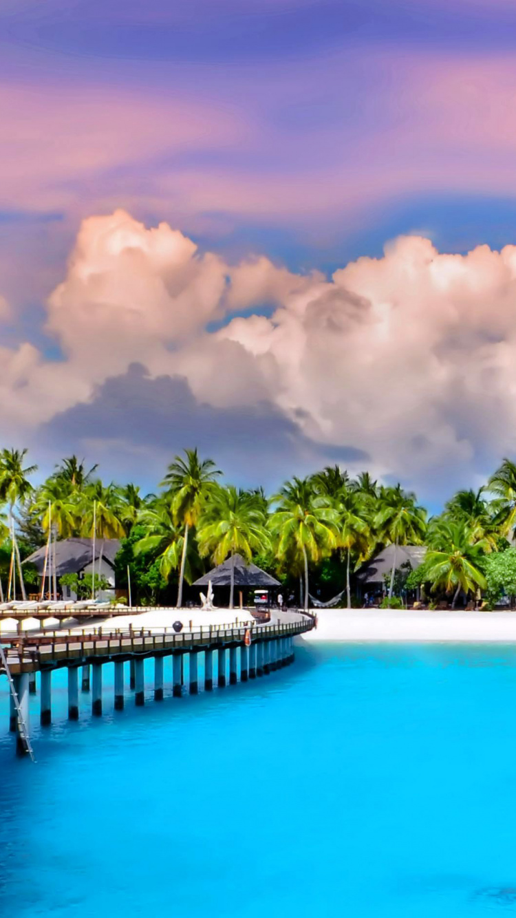 Обои прибежище, плавательный бассейн, тропическая зона, Карибский бассейн, отпуск в разрешении 750x1334