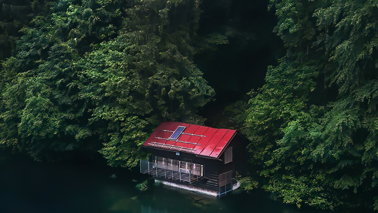 Обои лиственница, Damaksnis, перевозка воды, вода, растение в разрешении 1280x720