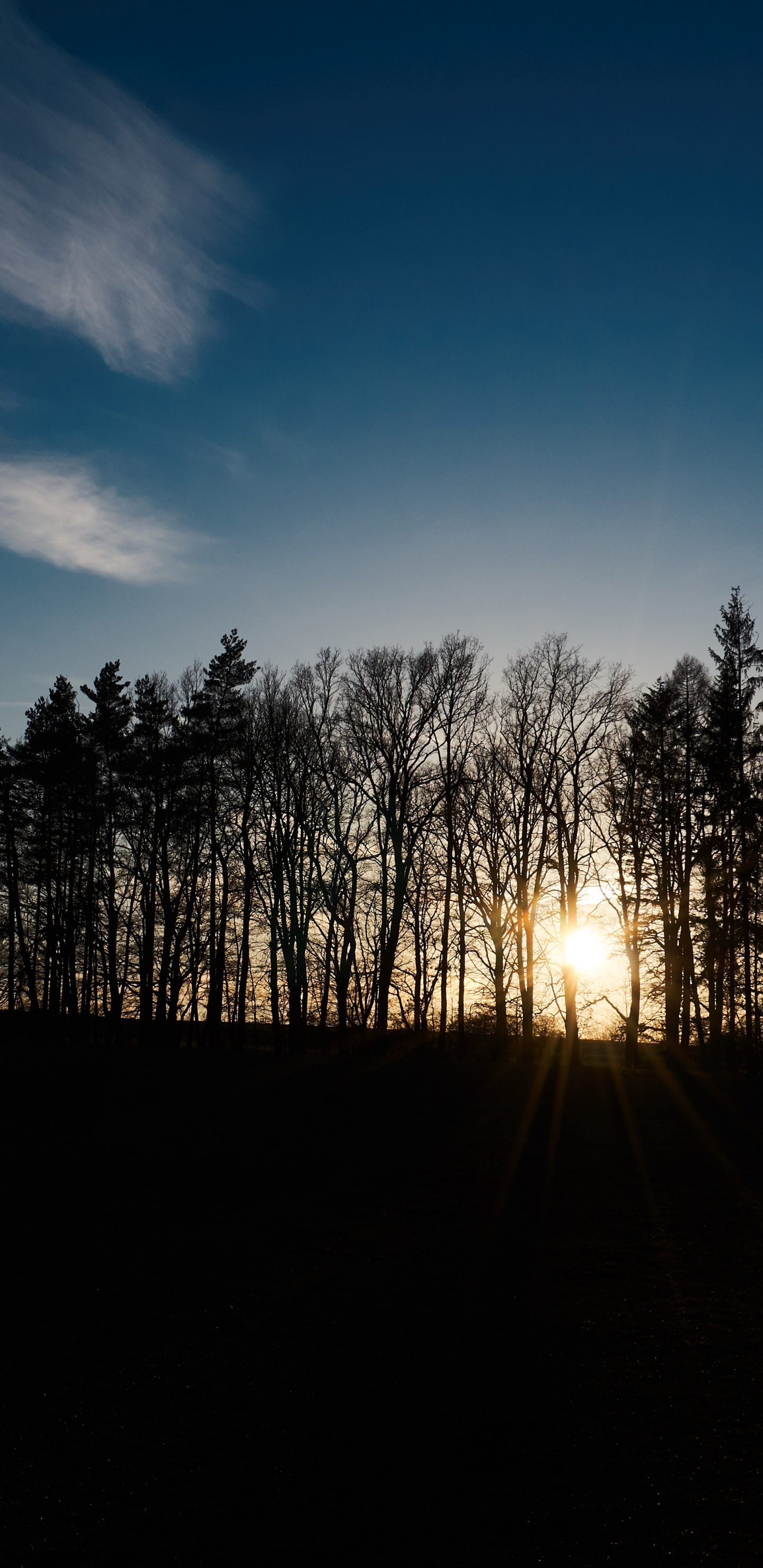 Обои закат, утро, рассвет, природный ландшафт, облако в разрешении 1440x2960