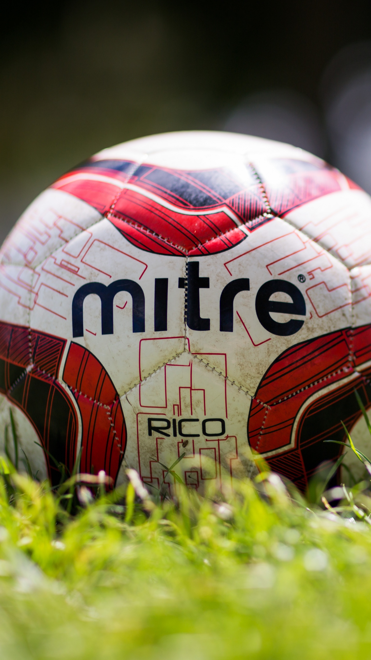 Обои Торцовочная Спорта Международного, мяч, футбол, Футбольный игрок, спортивный инвентарь в разрешении 1440x2560