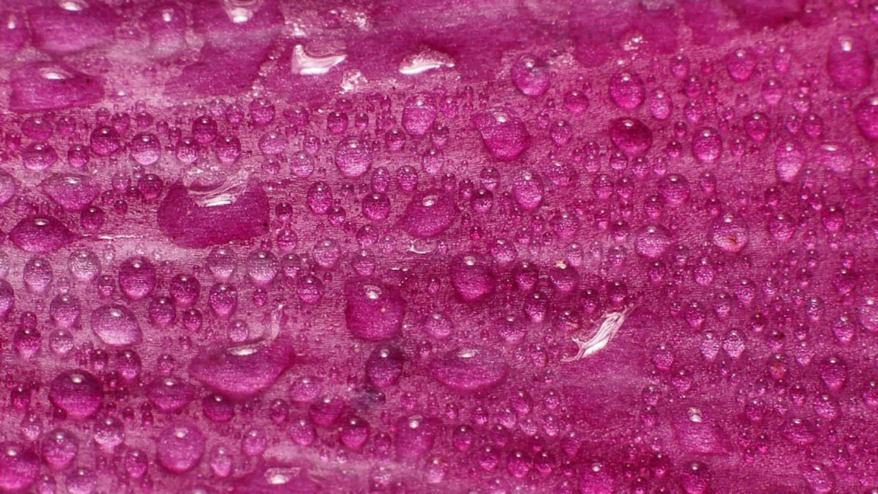 Обои падение, розовый, вода, пурпур, пурпурный цвет в разрешении 1280x720