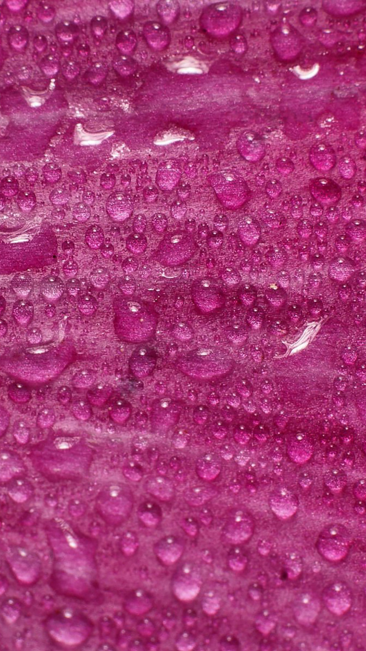 Обои падение, розовый, вода, пурпур, пурпурный цвет в разрешении 750x1334