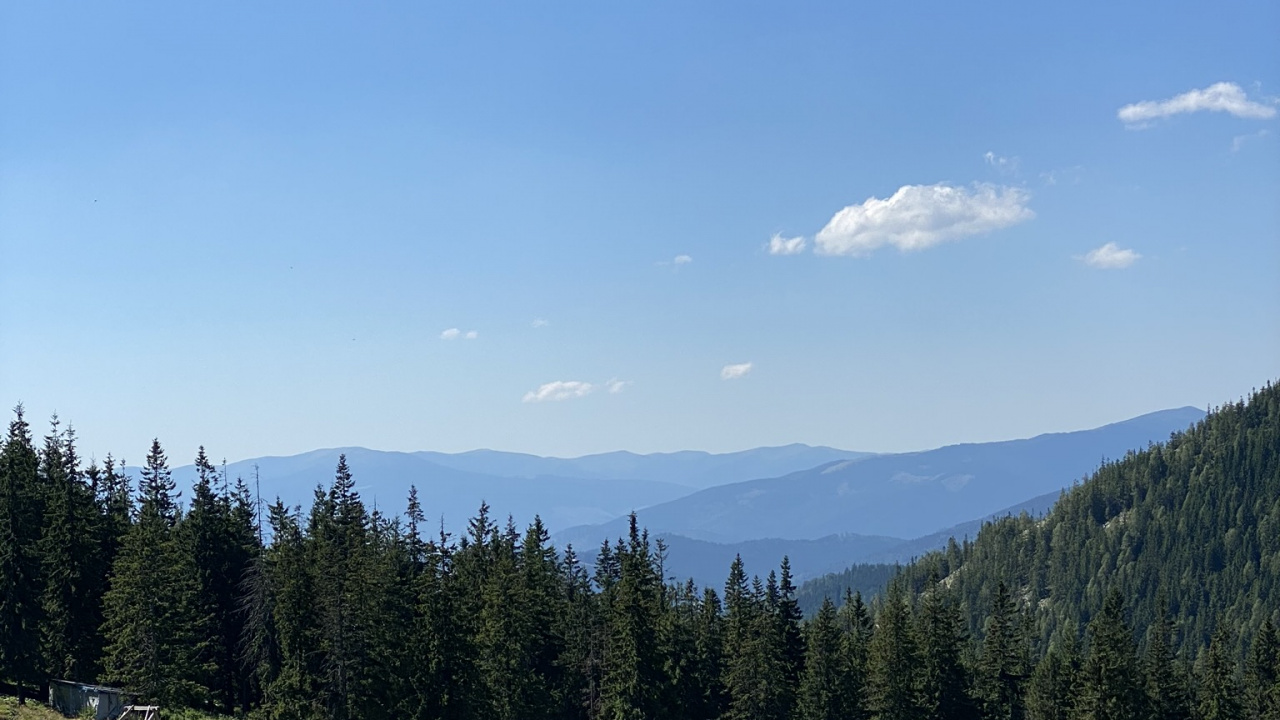 Обои данвилл, St Clair Townhip, земельный участок, товарооборот, недвижимость в разрешении 1280x720