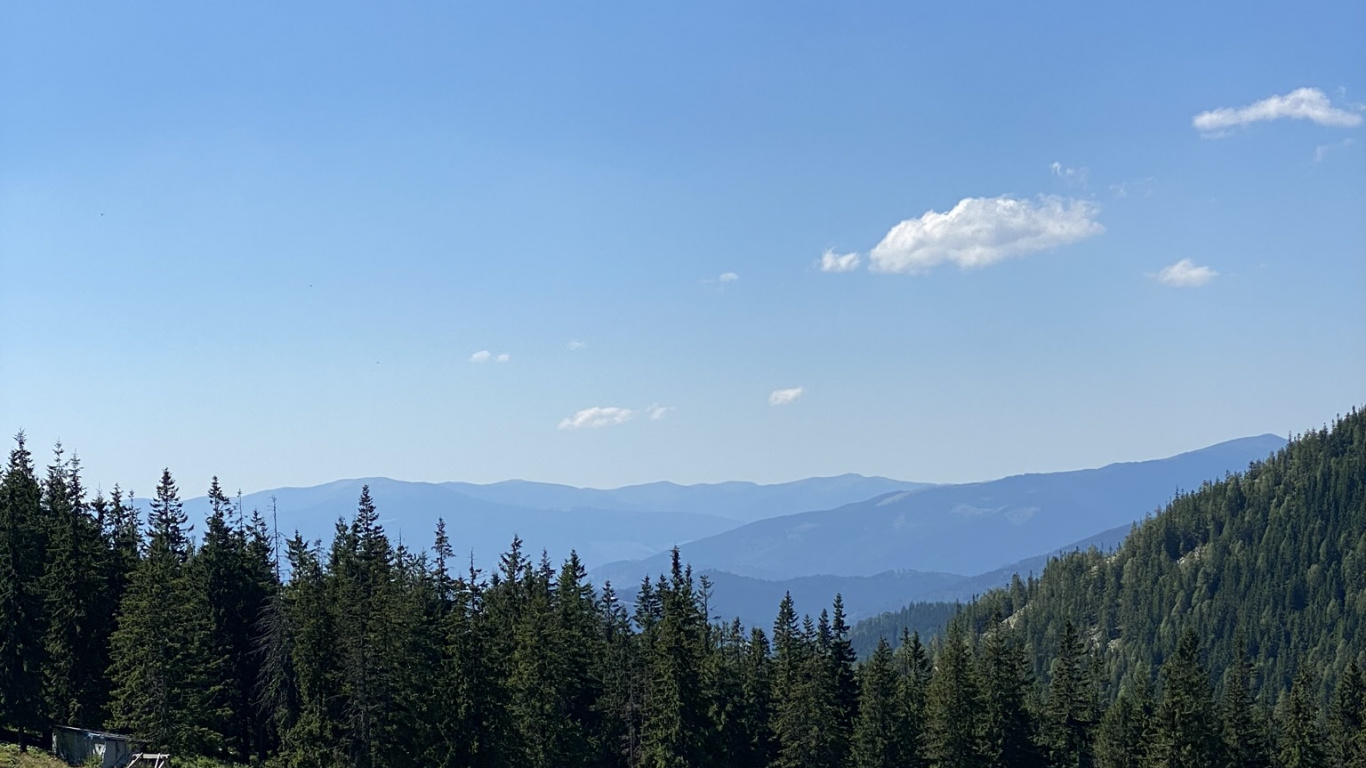 Обои данвилл, St Clair Townhip, земельный участок, товарооборот, недвижимость в разрешении 1366x768